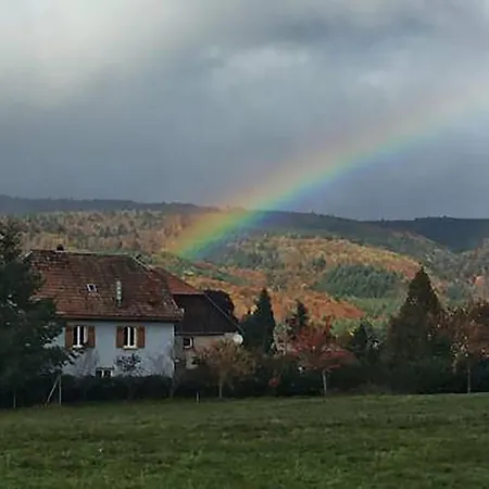 La Petite Demeure Gasthof Le Hohwald