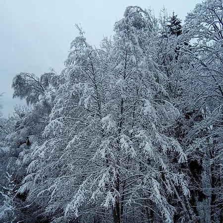 Gasthof La Petite Demeure *
